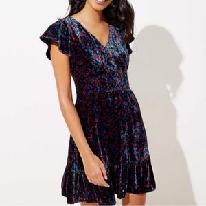 NWT Beautiful velvet Loft dress. Size 0.
